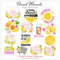 A Little Lemon Onesie Station Transfers