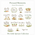 Little Sprouts Onesie Station Decorating Kit - Ready to Press 15 Transfers