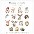 Woodland Welcome Baby Onesie Decorating Activity- Ready to Press Transfer Set