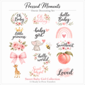 Bows/Baby Girl  Baby Shower Onesie Decorating Set -15 Ready to Press Transfers