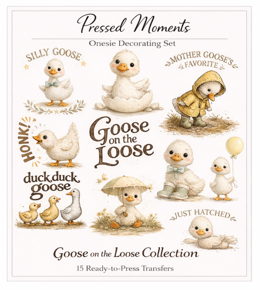 Silly Goose Onesie Station Transfers