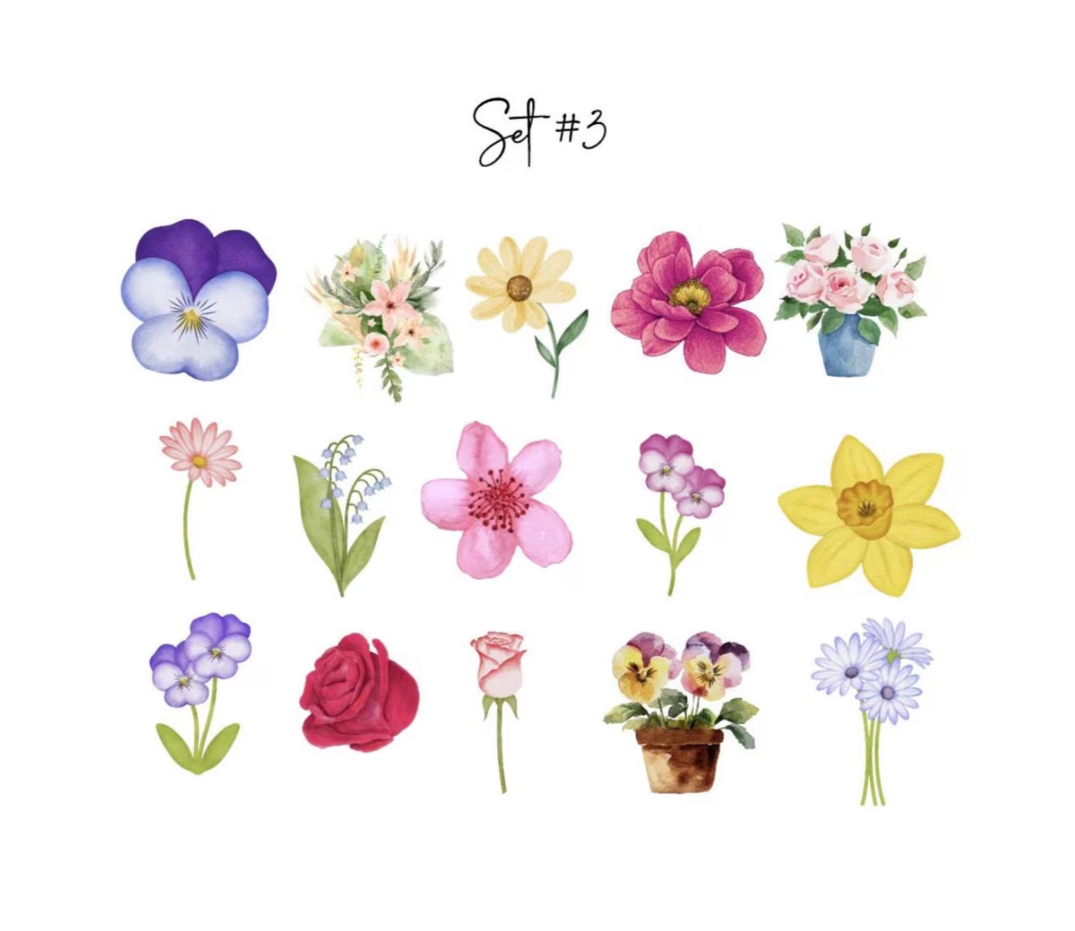 Baby in Bloom Onesie Station Transfers