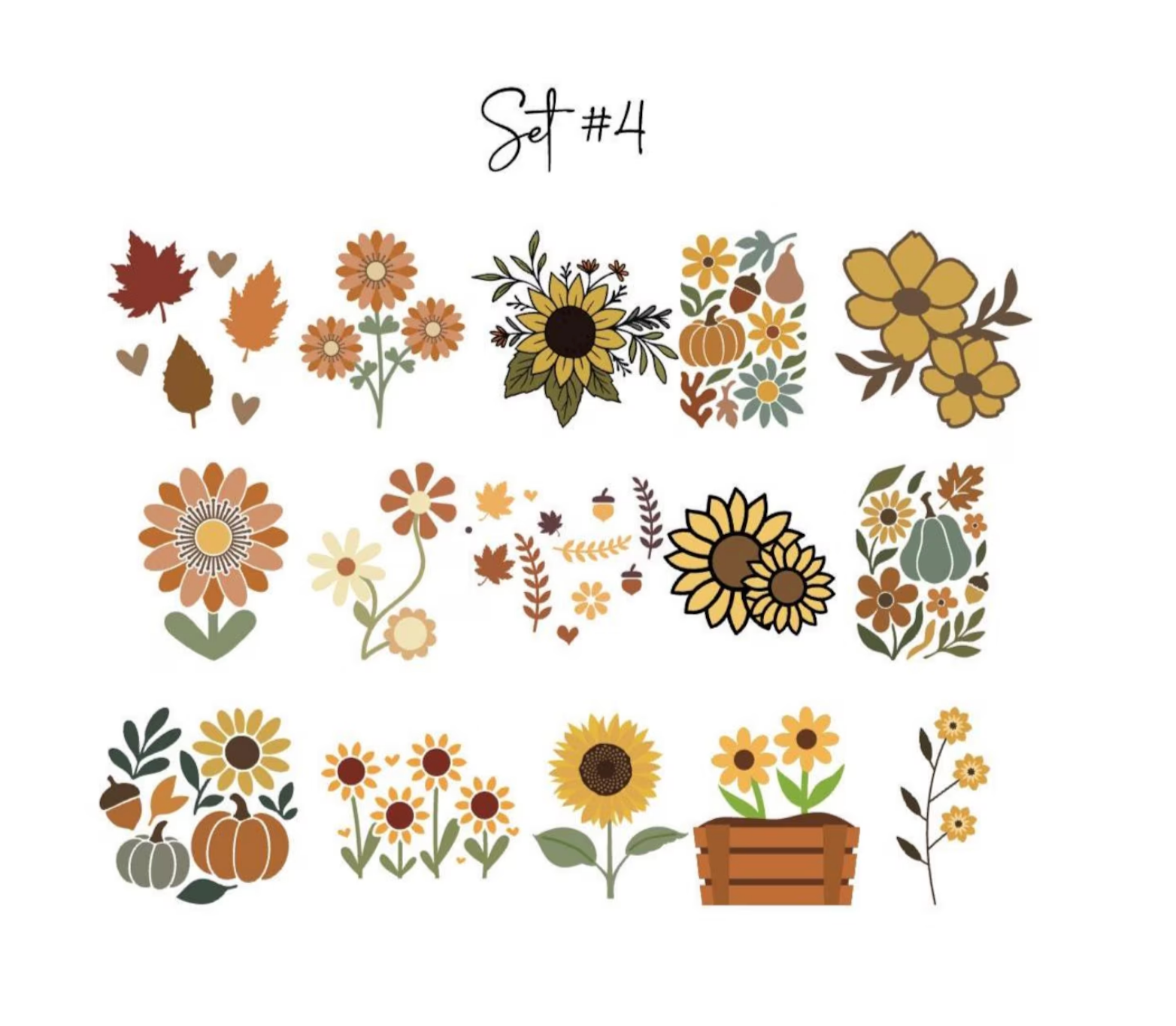 Baby in Bloom Onesie Station Transfers